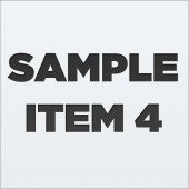 SAMPLE ITEM 4
